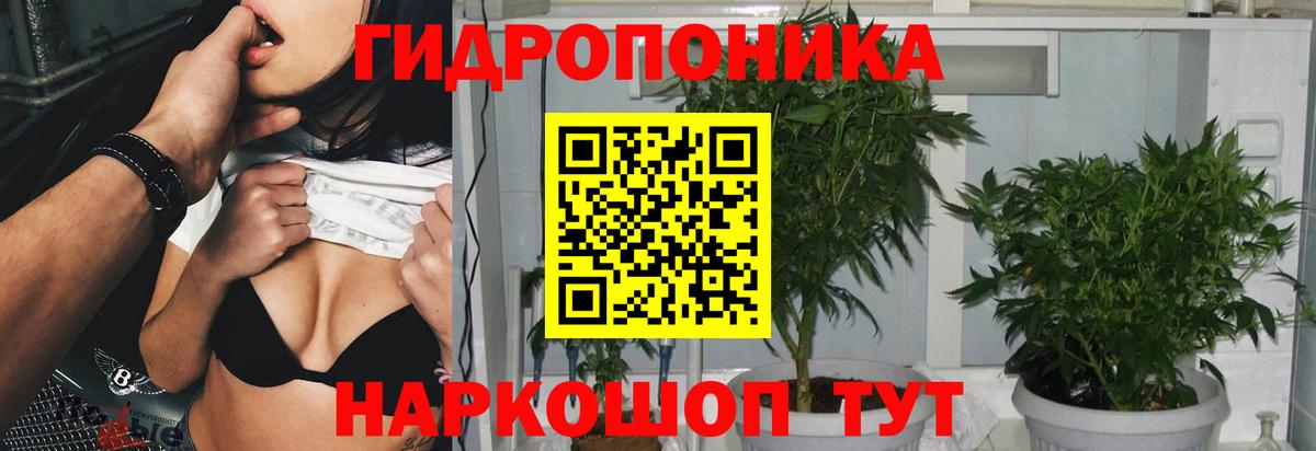 Бошки марихуана MAZAR  МАРИХУАНА Ganja  Каннабис индика  Вход с VPN  Новосибирск 